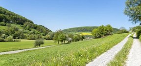 Mobile Dienste Ingersheim